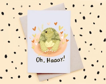 Hay Tortoise Valentines Card