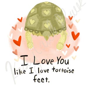 Mix Pack Tortoise Valentines Cards 6 or 12 image 7