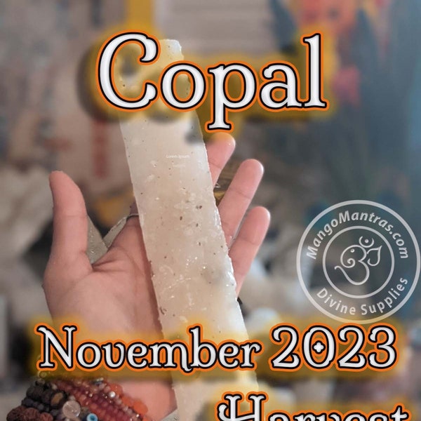 Copal de la Penca 100% Pure Organic from Mexico! Highest Grade Fresh Unprocessed White Copal for Protection, Blessing & Purification!