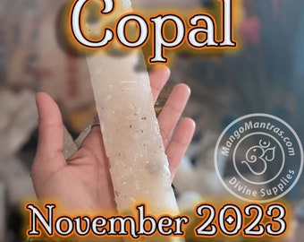 Copal de la Penca 100 % pur biologique du Mexique ! Du copal blanc frais non transformé de la plus haute qualité pour la protection, la bénédiction et la purification !