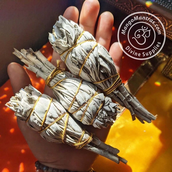 Torch Style White Sage to Purify, Protect & Bless!