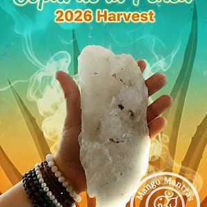 May include: A hand holding a large, off-white Copal de la Penca resin piece. The image features text that reads "Copal de la Penca 2026 Harvest." A stack of beaded bracelets adorns the wrist. The background is a gradient of teal and yellow.