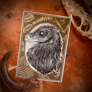 Velociraptor Dinosaur Paleontology Fine Art Print