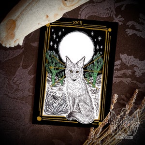 Coyote Luna Tarot Carta Bellas Artes Impresión