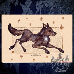 Sirius Canis Major Fine Art Print