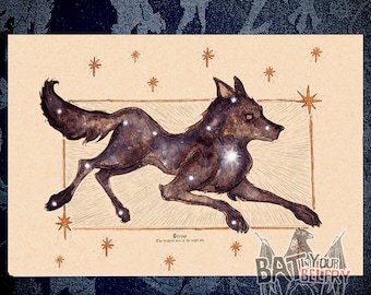 Sirius Canis Major Fine Art Print