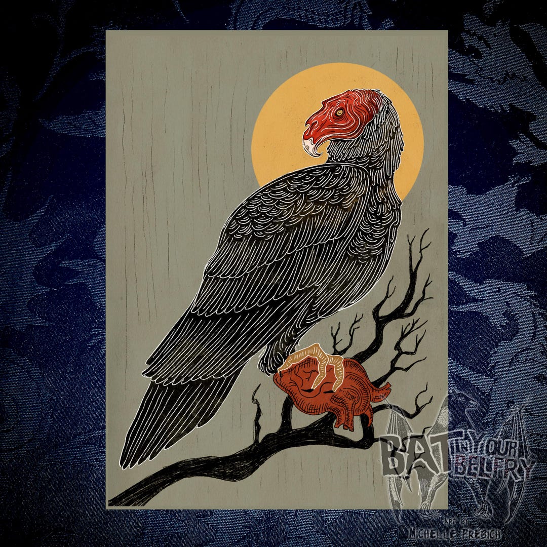 Turkey Vulture Fine Art Print - Etsy, image size:1080x1080