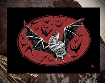 Mexican Free Tailed Bat  Fine Art Print