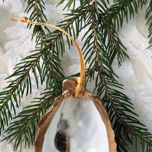 Könnte beinhalten: Ein weißer Austernmuschel-Weihnachtsbaumschmuck mit goldfarbenem Rand und einem goldenen Band zum Aufhängen. Die Muschel ist natürlich und hat eine leichte braune Tönung.