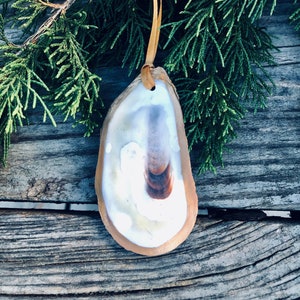 Könnte beinhalten: Handgefertigter Austernschalen-Schmuck mit cremefarbenem und braunem Innenraum, umrandet von einem hellbraunen Rand. Ein goldenes Band ist zum Aufhängen befestigt. Der Schmuck wird vor dem Hintergrund grüner Nadelbaumzweige und verwittertem Holz präsentiert.