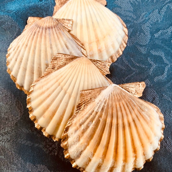 Scallop Shell | Ring Dish | Painted Shell | Gold Edge | Engagement Gift | 2.5”- 3”size