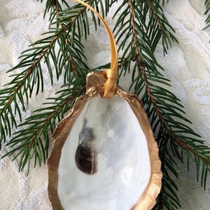 Oyster Shell Ornament  | Gold edged oyster shell | 3” size | options for personalization, faux pearl