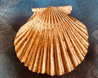 Scallop Shell| shell dish| GOLD leaf paint with natural interior| 2.5”-3” inch| crustacean core