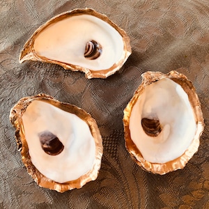 Gilded Oyster Shell| Ring Dish | Gold leaf Edging | gilded oyster Shell jewelry dish | 3”-3.5” size | Engagement Gift | Crustacean Core