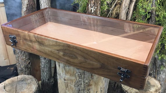 Large Walnut display case with clear lid. | Etsy