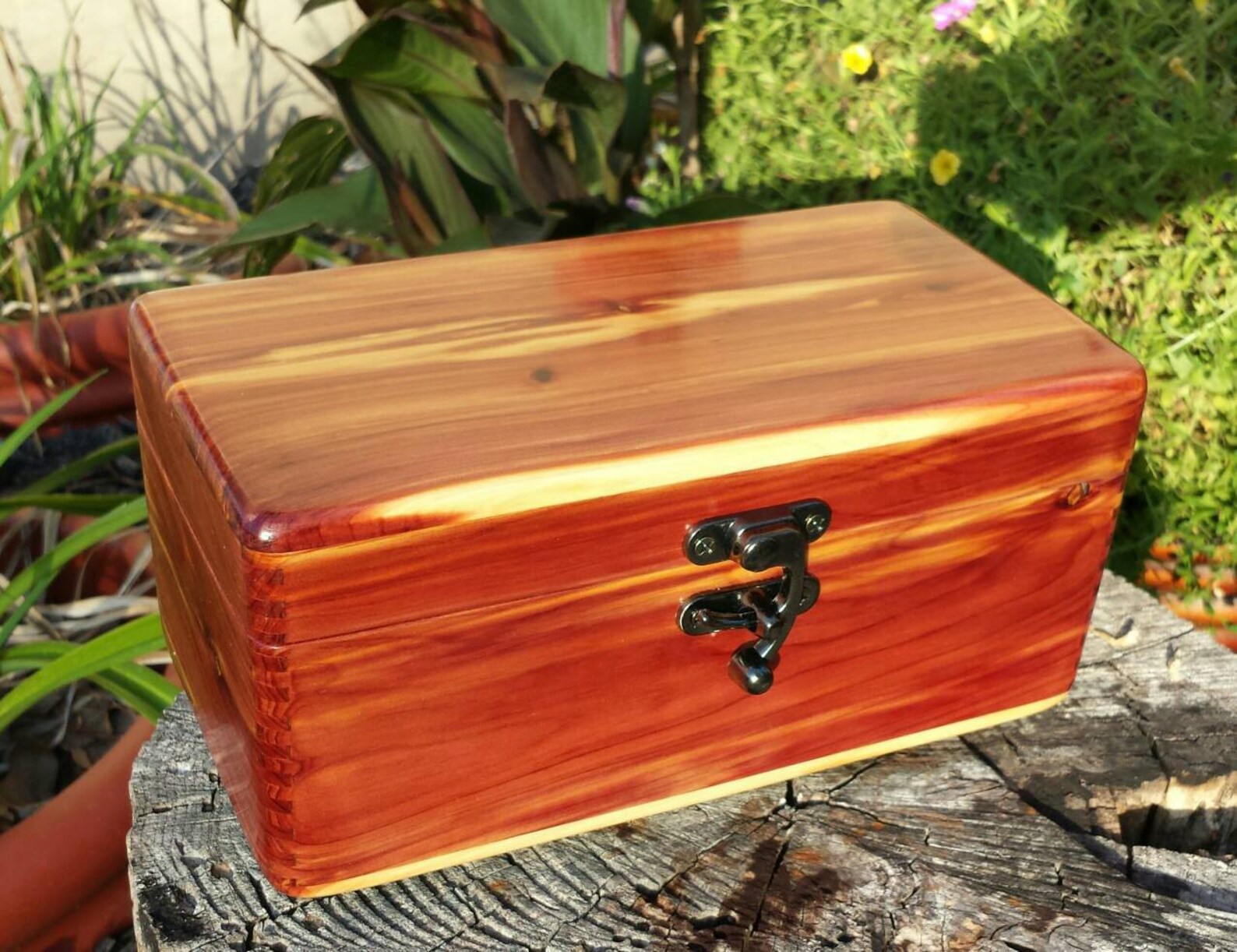 In Stock Aromatic Red Cedar box for Essential Oil storage of Etsy