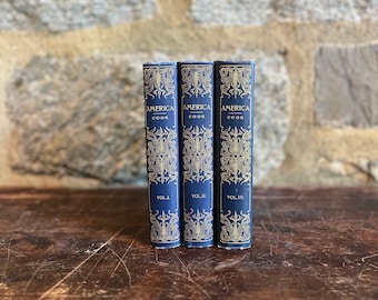 America by Joel Cook - Trio of Small Blue Cloth Bindings - Book Props or Decor