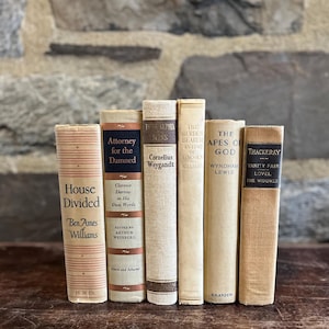 May include: A collection of vintage books with various titles and colors. The spines display titles like "House Divided," "Attorney for the Damned," and "The Burden Bearer." The books are arranged vertically on a wooden surface against a stone wall.