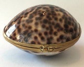 Vintage Cowrie Spotted Leapord Shell Pill Trinket Ring Box