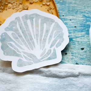 Pegatina de concha marina / pegatina del océano / pegatina troquelada / pegatina junto al mar / pegatina inspirada en la naturaleza / calcomanía resistente al agua / 3,5" x 3"
