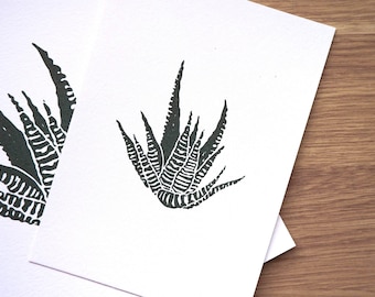 Zebra Haworthia konsttryck / Botaniskt suckulent konsttryck / Blomkonsttryck / Naturkonsttryck / Suckulent konsttryck / Blommor / 5x7, 8x10