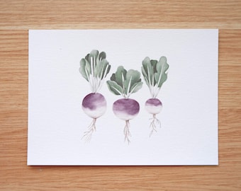 Rüben-Trio-Kunstdruck / Gemüsekunstdruck / Rüben-Kunstdruck / Lebensmittel Kunstdruck / Gemüsezeichnung / Essen Zeichnung / Süßes Essen / 13x18, 8x10