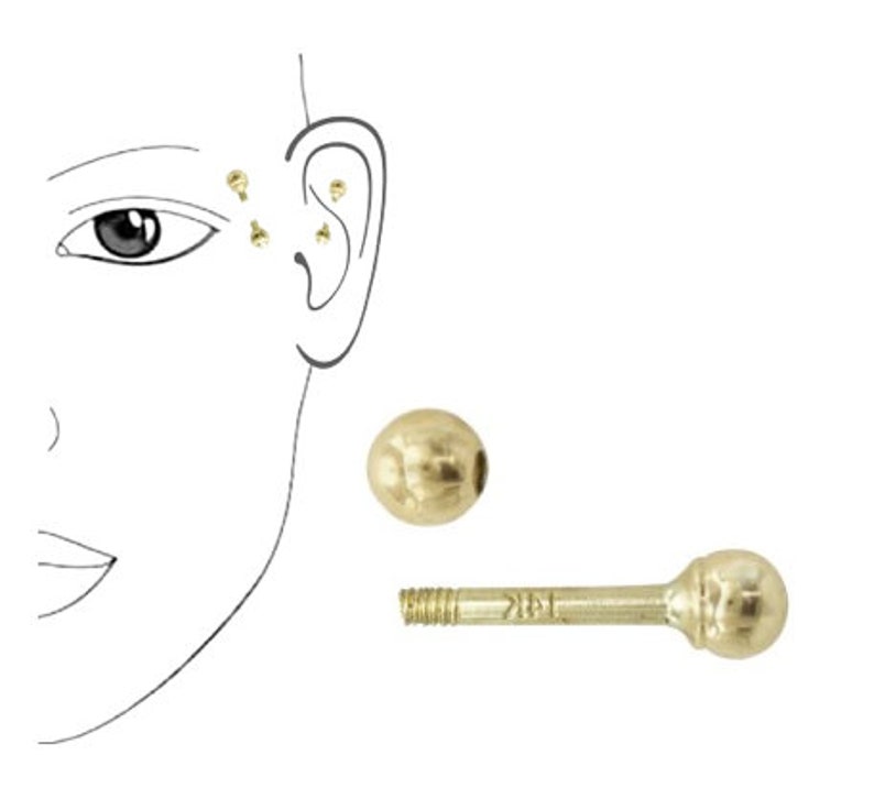 14K Gold Ball Stud Screw Back Earring 14k Gold Straight Etsy