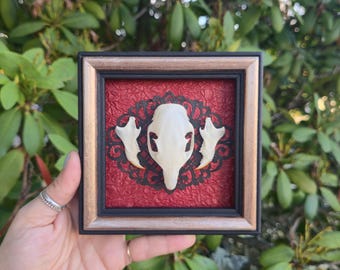 Squirrel Skull Gothic Wall Hanging Frame. Skull art