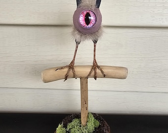 Fantasy creature taxidermy art. Oddities art. Juvenile Optopod on branch. cute sculpture