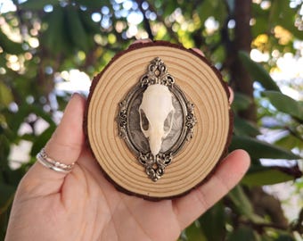 Rat Skull raw wood wall hanging round plaque, rat skull, oddities