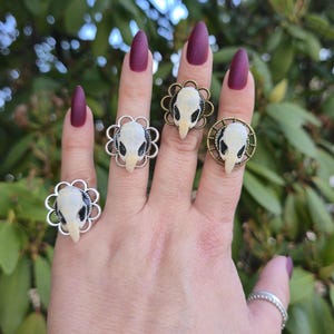 May include: A hand displays five rings, each featuring a small, white skull design. The rings have different metal finishes, including silver and antique gold, and are set against a backdrop of green foliage. The nails are painted a deep burgundy.