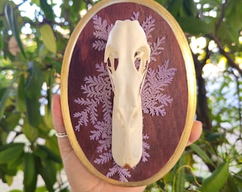 Duck skull wall hanging plaque