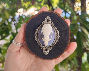 Rat Skull wall plaque, skull art, Victorian gothic art, oddities wall art