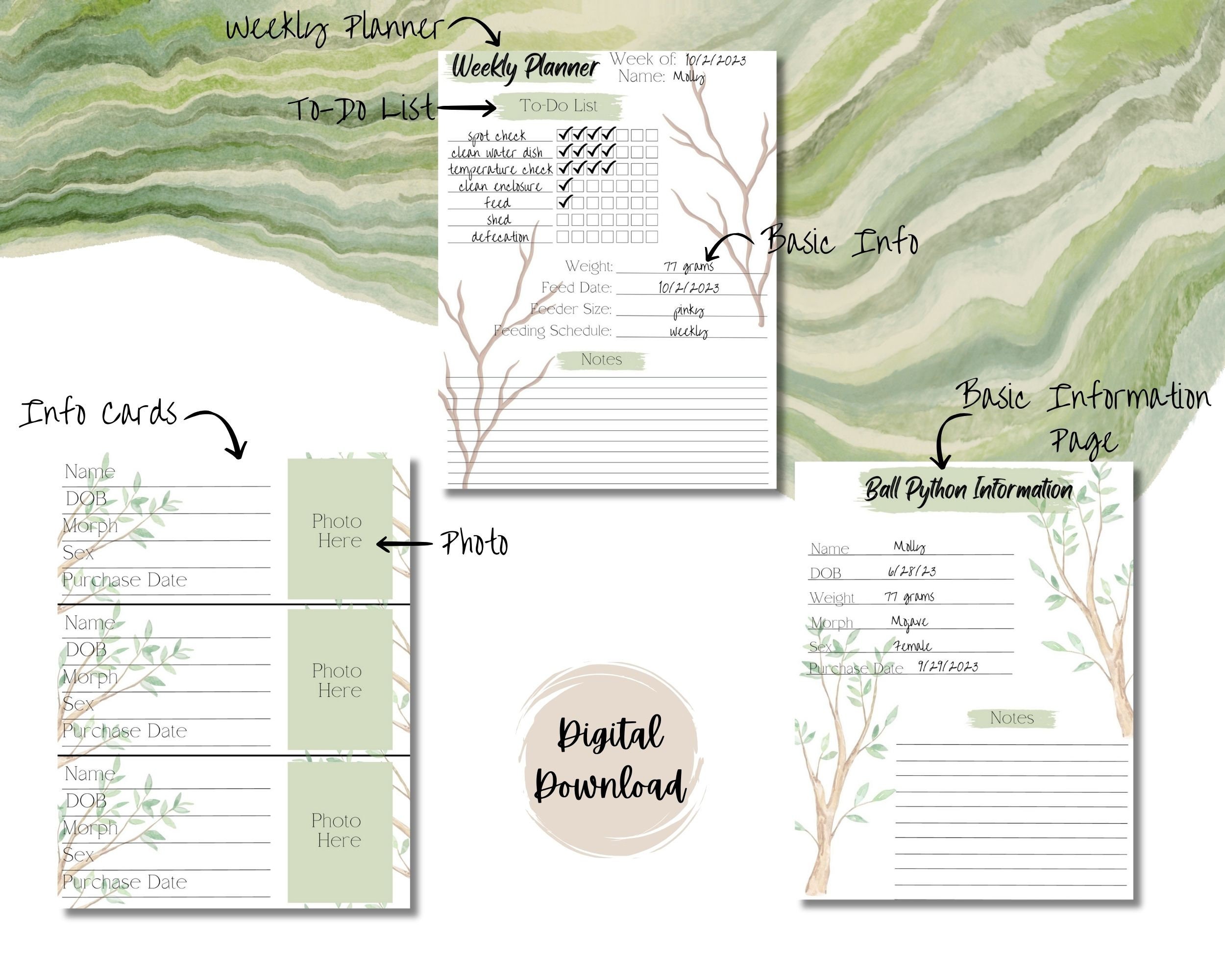 Ball Python Snake Care Planner: Breeding & Feeding Tracker (PDF Digital ...