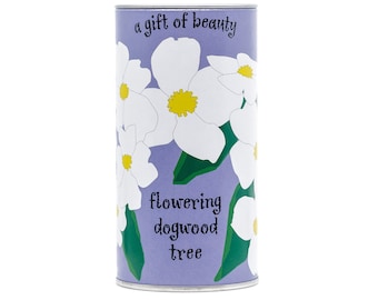 Flowering Dogwood | Tree Seed Grow Kit | The Jonsteen Company