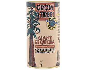 Giant Sequoia | Tree Seed Grow Kit | The Jonsteen Company