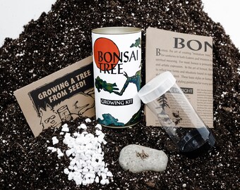 Bonsai Grow Kit | White Design | The Jonsteen Company