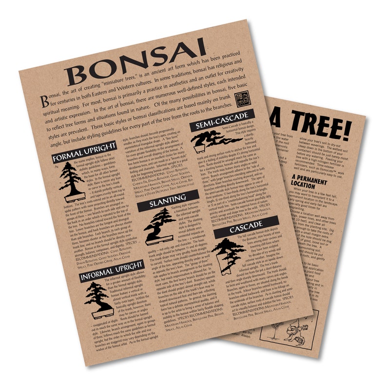 Bonsai Grow Kit White Design The Jonsteen Company Etsy