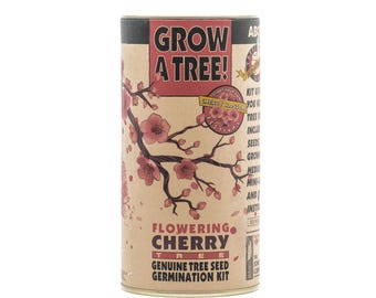 May include: A brown cardboard tube with a pink and white cherry blossom illustration. The text "Grow a Tree!" is printed in black letters. The text "Flowering Cherry Tree" is printed in black letters. The text "Genuine Tree Seed Germination Kit" is printed in black letters.