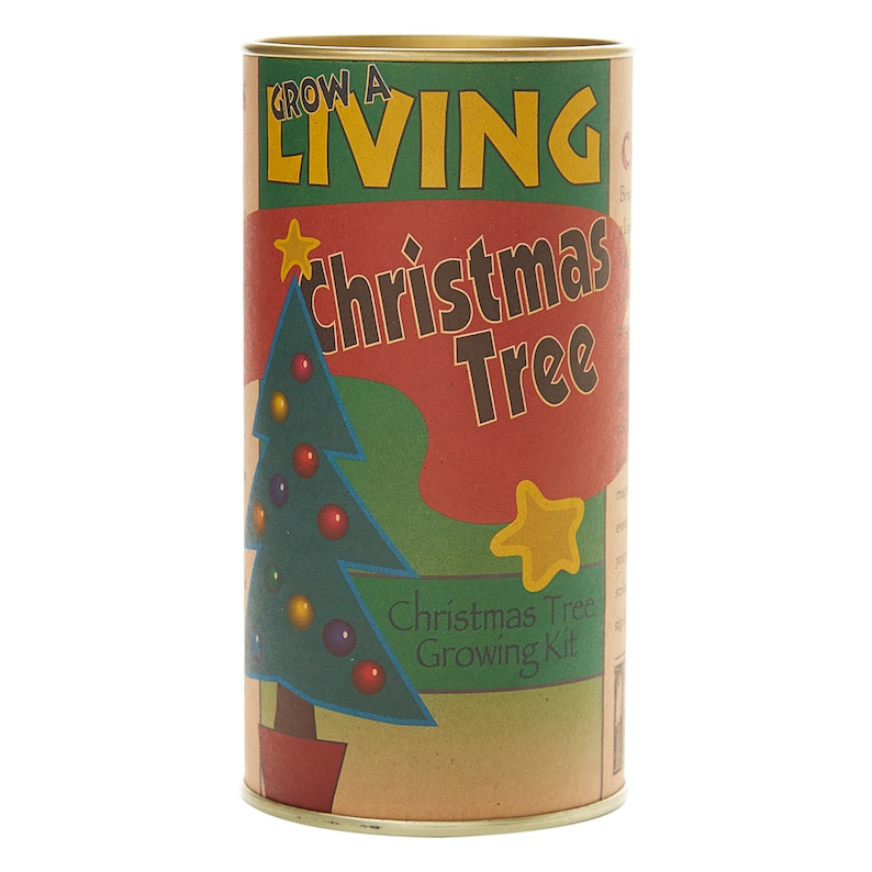 Christmas Tree Seed Grow Kit The Jonsteen Company Etsy
