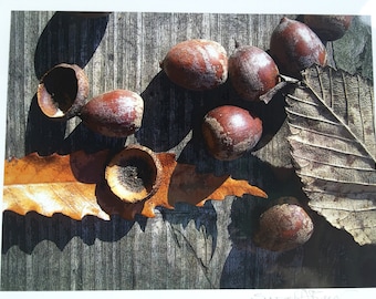 Abstract Acorns with Leaves (The Flora Collection) by Susan A Ray of OneHealingStone Studio