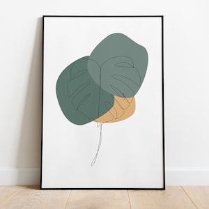 Monstera