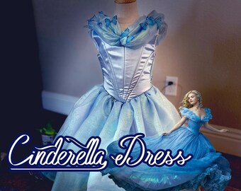 Cinderella Costume, Kids Dress, Toddler Dress, Halloween Dress, Twirly Dress, Live action Cinderella Dress, Size 12 mo to 11/12
