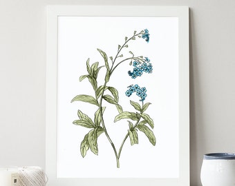 Forget-Me-Not Printable, Printable Wall Art, INSTANT DOWNLOAD, Nursery Printable, Art Print, Rustic Decor, Flower Print, Botanical Art