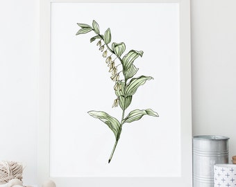 Solomon's Seal Printable, Printable Wall Art, INSTANT DOWNLOAD, Nursery Printable, Art Print, Rustic Decor, Flower Print, Botanical Art