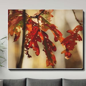 May include: A canvas print featuring close-up of autumn oak leaves. The leaves are a vibrant mix of red, orange, and green, with a few white spots. The background is a soft, blurred beige, creating a warm, natural aesthetic.