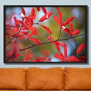 Red Leaves Fall Art Poster, Rustic Autumn Print Wall Art For Living Room, Mom Gift For Her, New England Landscape