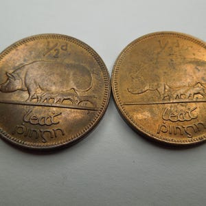 Irish Coins, Half Penny, 1964 to 1967, Pigs Reverse - Sell By The Piece
