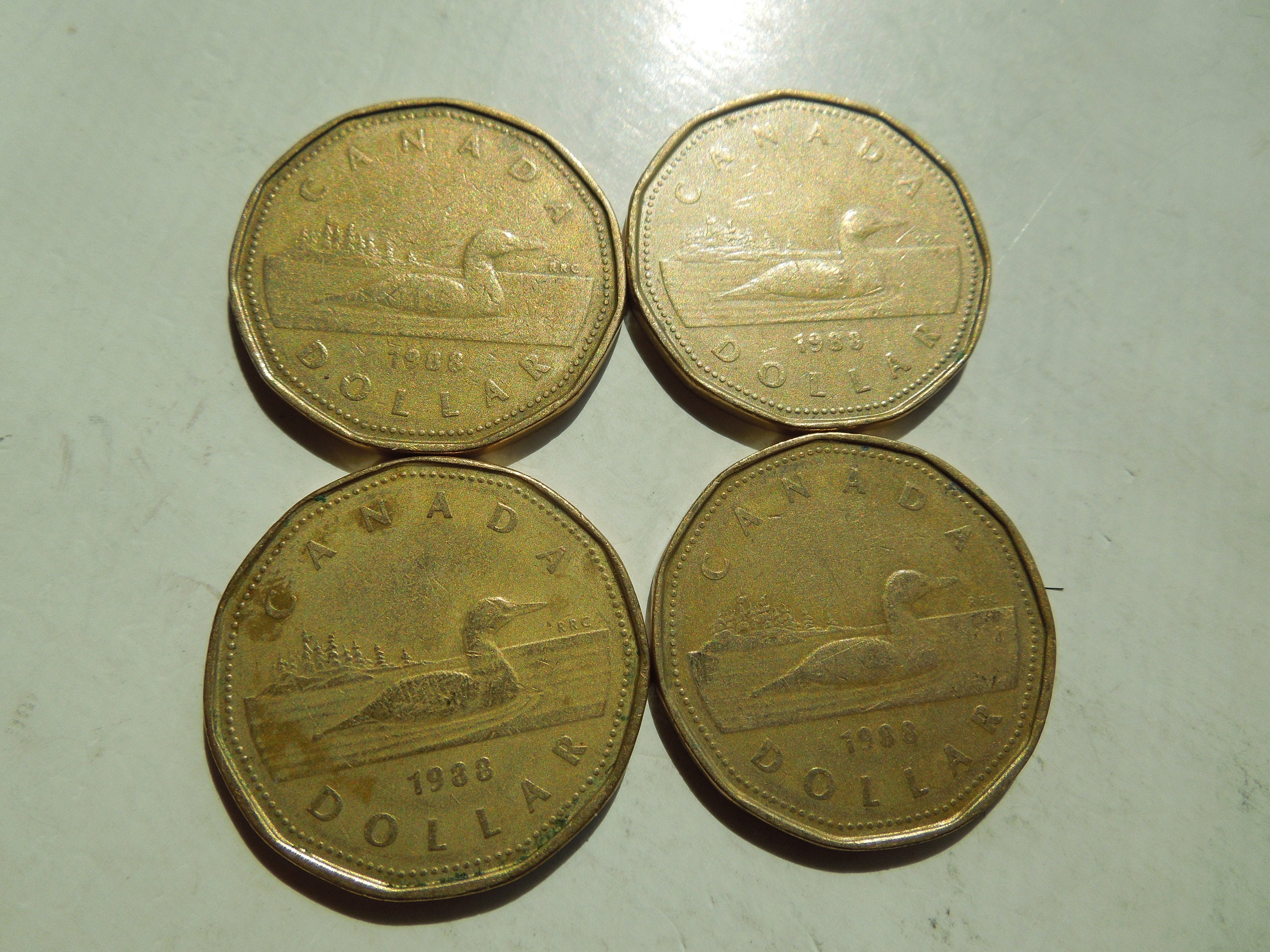 Canada 1 dollar coin - Etsy 日本