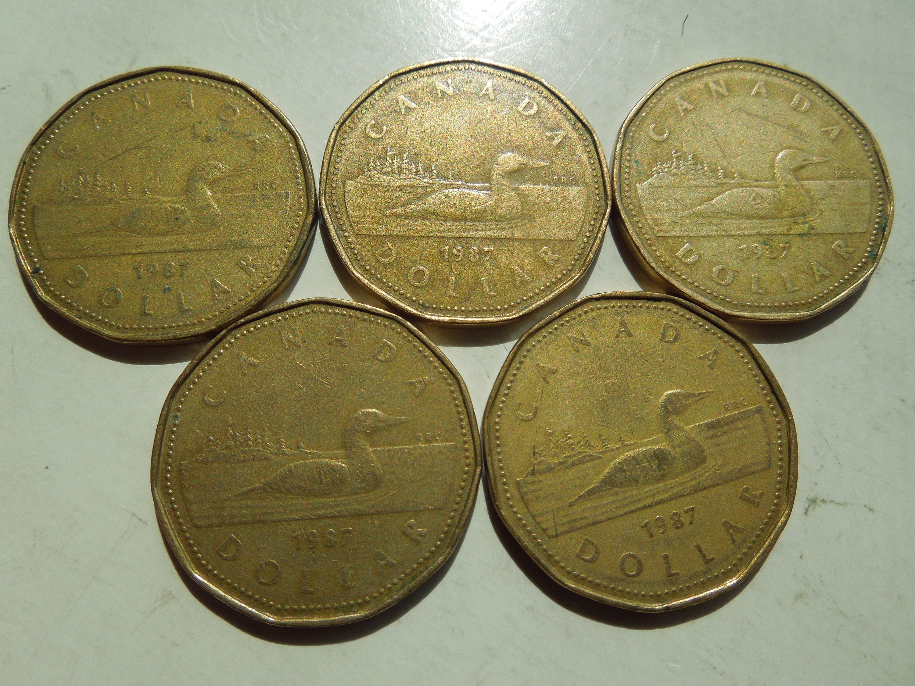 楽天市場】カナダ 6枚貨幣セット (内銀貨5枚) 未使用 エリザベス